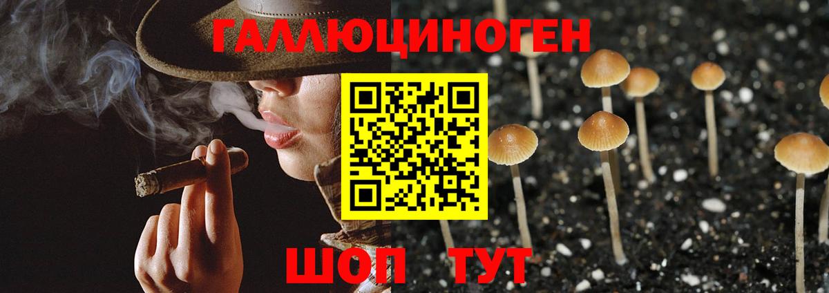 Псилоцибиновые грибы Cubensis  даркнет сайт  Самара  Вход с VPN 
